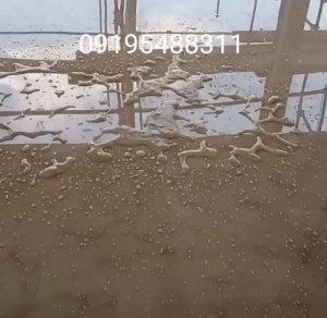 ترمیم سنگ کف ساختمان